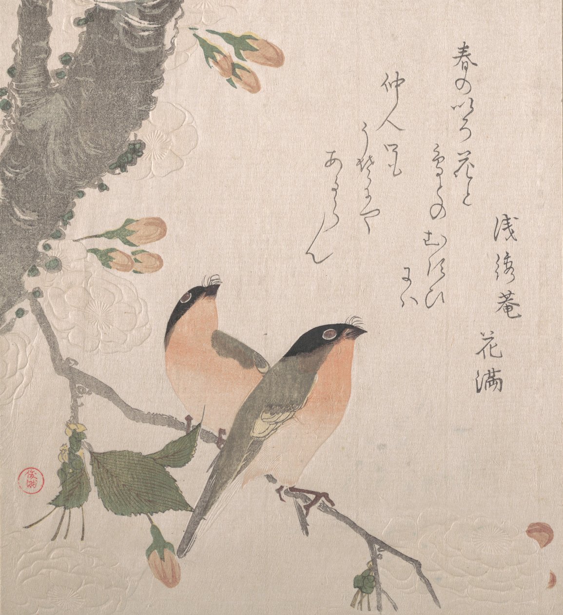 Bullfinches ja kirsikankukat, 1800-luku. tekijältä Kubo Shunman