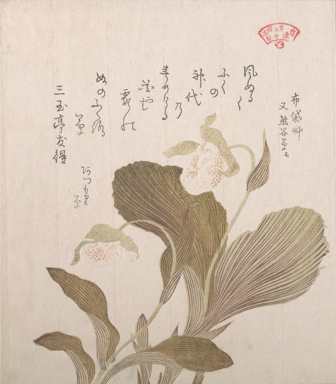 Hotei Flowers, 1800-luku. tekijältä Kubo Shunman