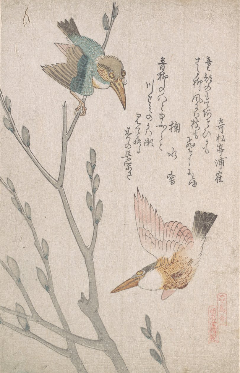 Kingfishers ja pillupaju, 1800-luku. tekijältä Kubo Shunman