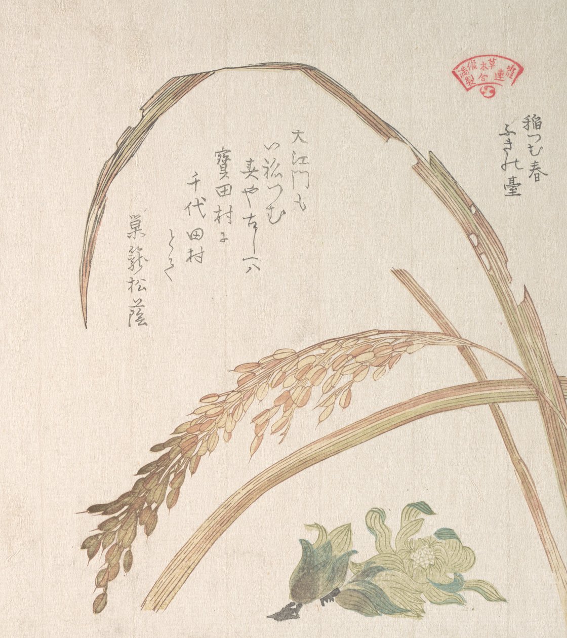 Rice Plant and Butter-Burs, 1800-luku. tekijältä Kubo Shunman