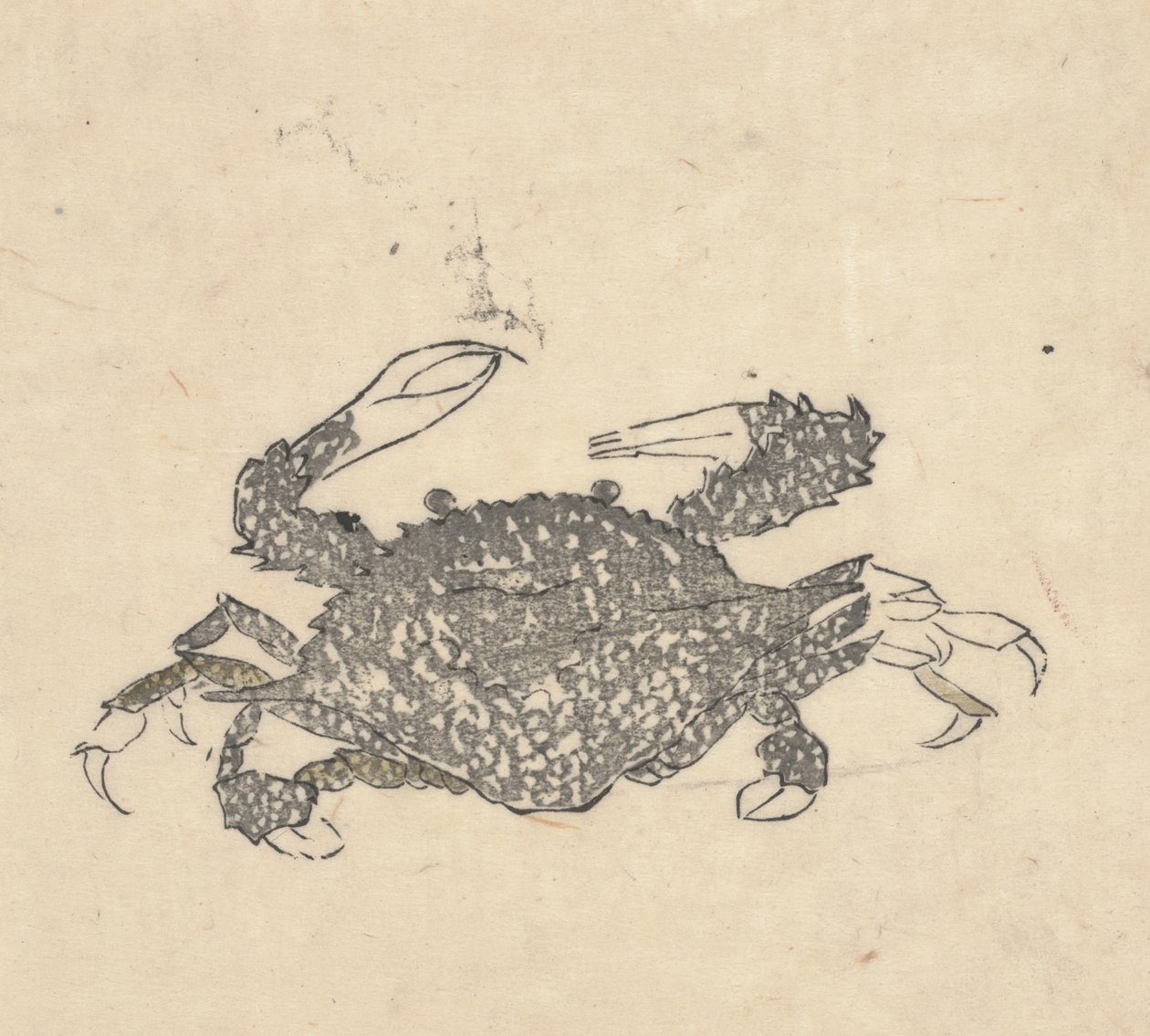 Caranguejo (xilogravura) finlandês tekijältä Kuwagata Keisai