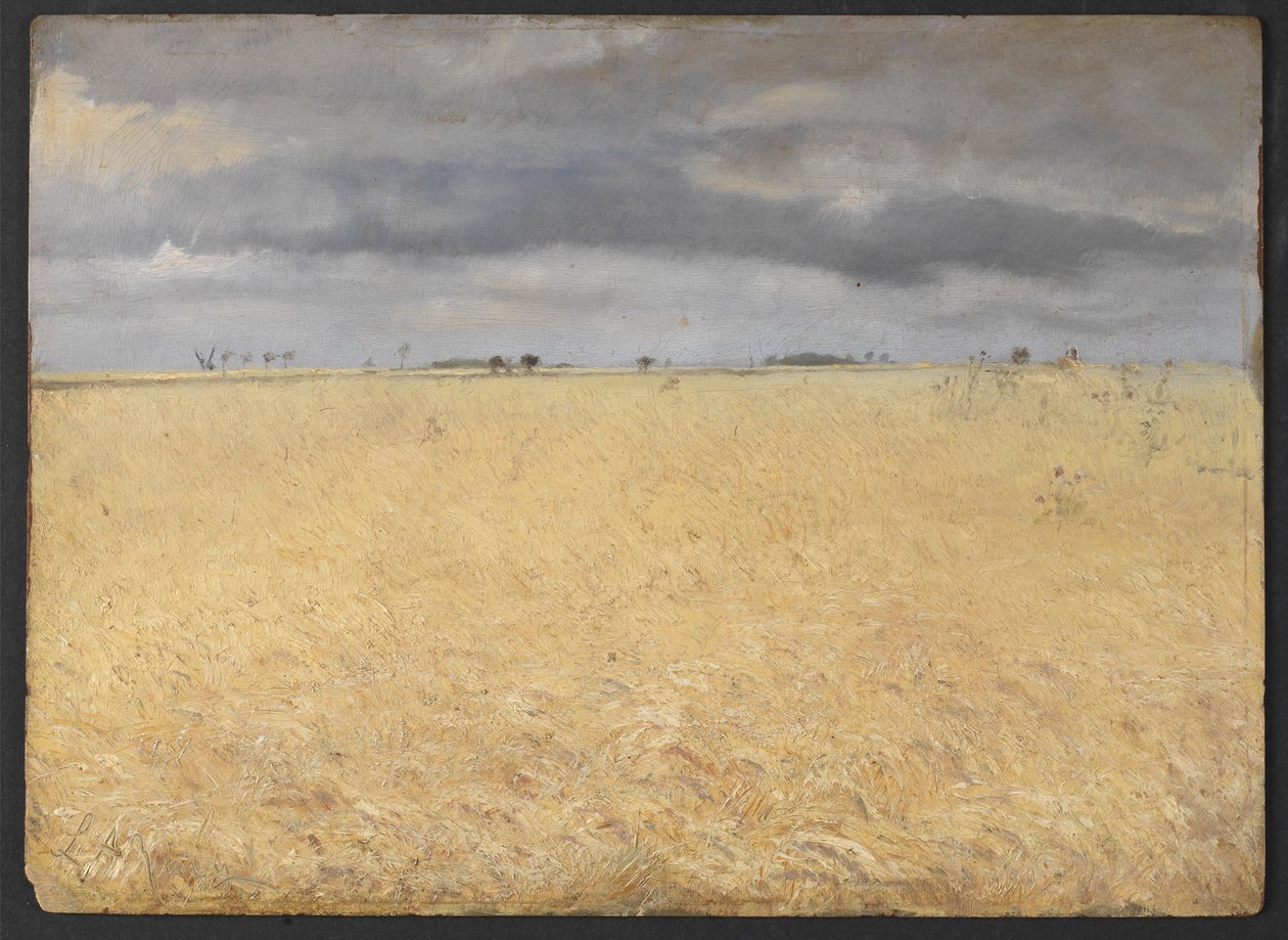 Ruispelto lähellä Ring Villagea tekijältä Laurits Andersen Ring