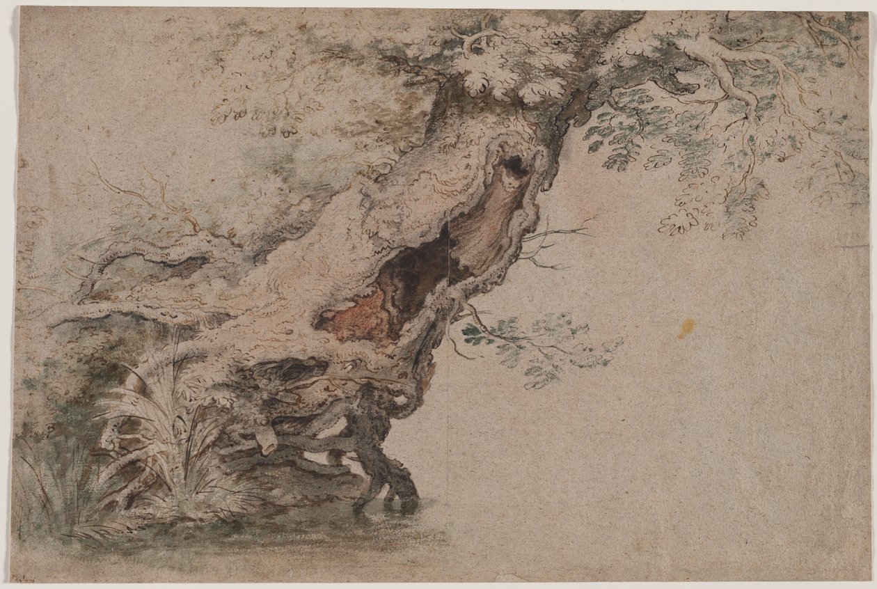 Hollow Tree, Roelant Saveryn mukaan, vuoden 1670 jälkeen. tekijältä Lambert Doomer