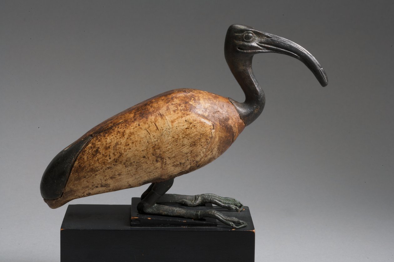 Ibis (pronssi ja puu) tekijältä Late Period Egyptian