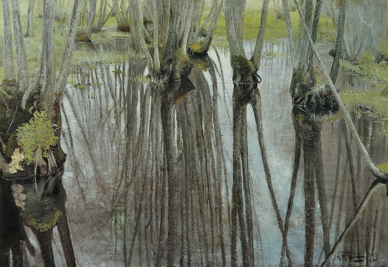 Troncs daulnesn tekijältä Laurits Andersen Ring
