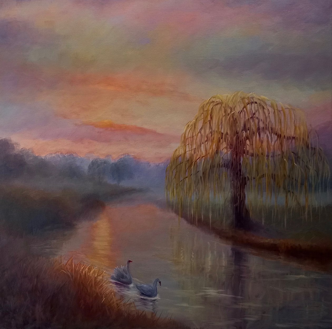 Sumuinen aamunkoitto, Bushy Park, 2024 tekijältä Lee Campbell