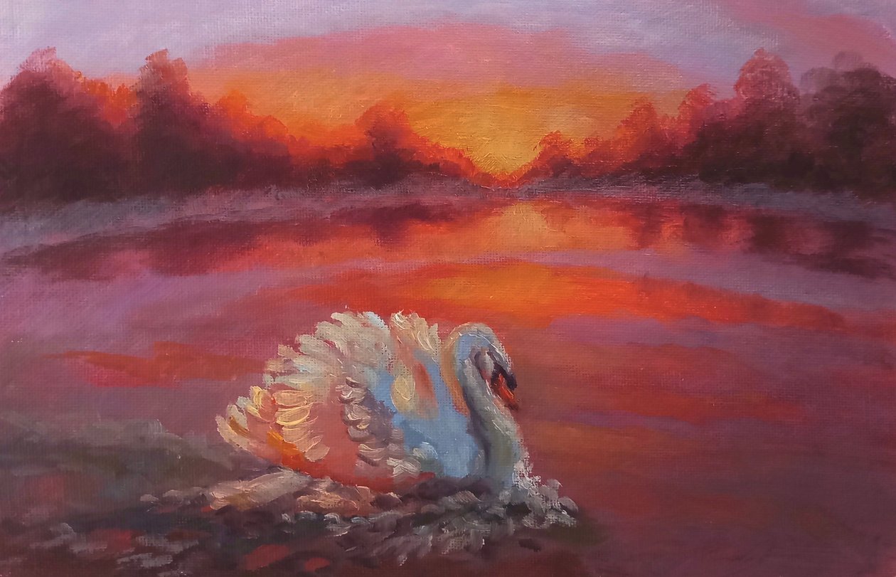 Eteenpäin, Swan Swimming, 2024 tekijältä Lee Campbell