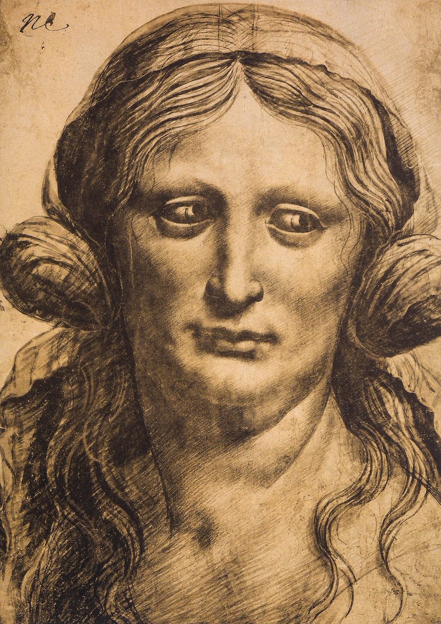 Naisen muotokuva; Leonardo da Vincin piirustus. Louvre, Pariisi tekijältä Leonardo da Vinci