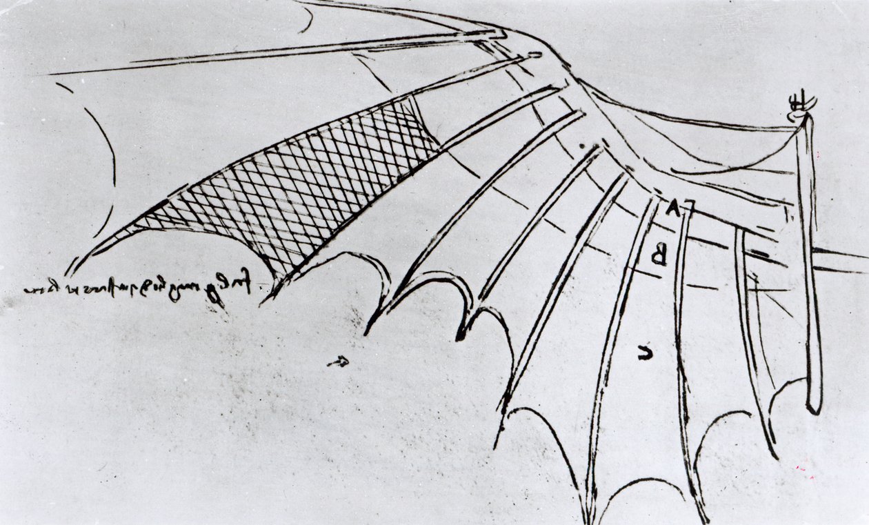 M S B 2173 fol. 74r Siipien artikulaatiotutkimukset, 1487-90 tekijältä Leonardo da Vinci