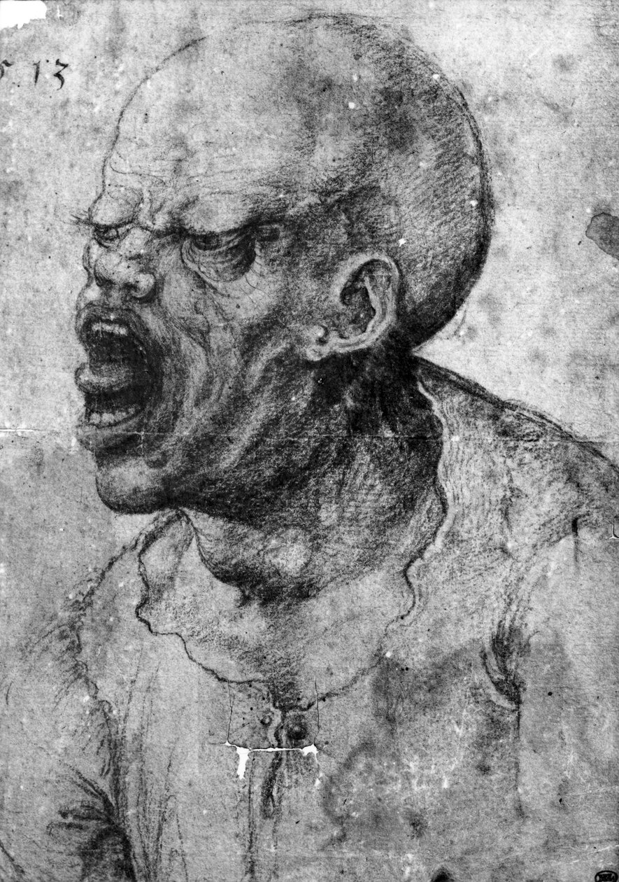 Huutavan miehen muotokuva (hiili paperille) tekijältä Leonardo da Vinci
