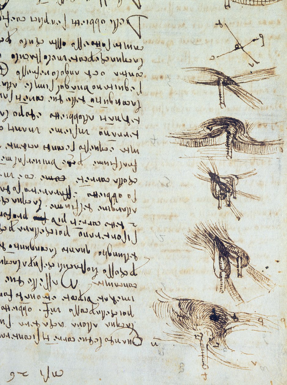Tieteelliset kaaviot, Codex Leicester, 1508-12 seepiamuste pellavapaperilla yksityiskohta numerosta 227790 tekijältä Leonardo da Vinci
