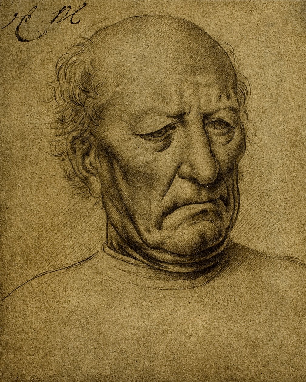 Seniili miehen muotokuva; Leonardo da Vincin piirustus. Louvre, Pariisi tekijältä Leonardo da Vinci