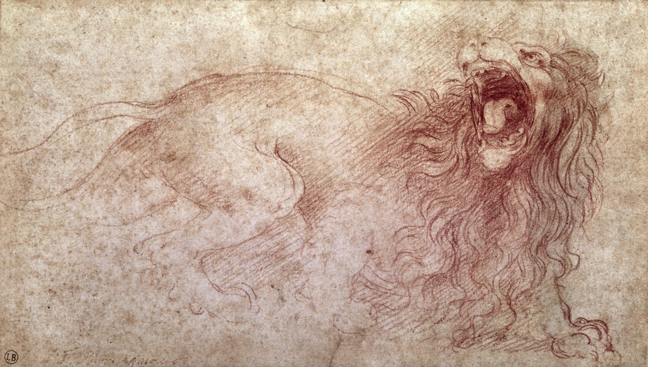 Luonnos karjuvasta leijonasta (punainen liitu paperille) tekijältä Leonardo da Vinci