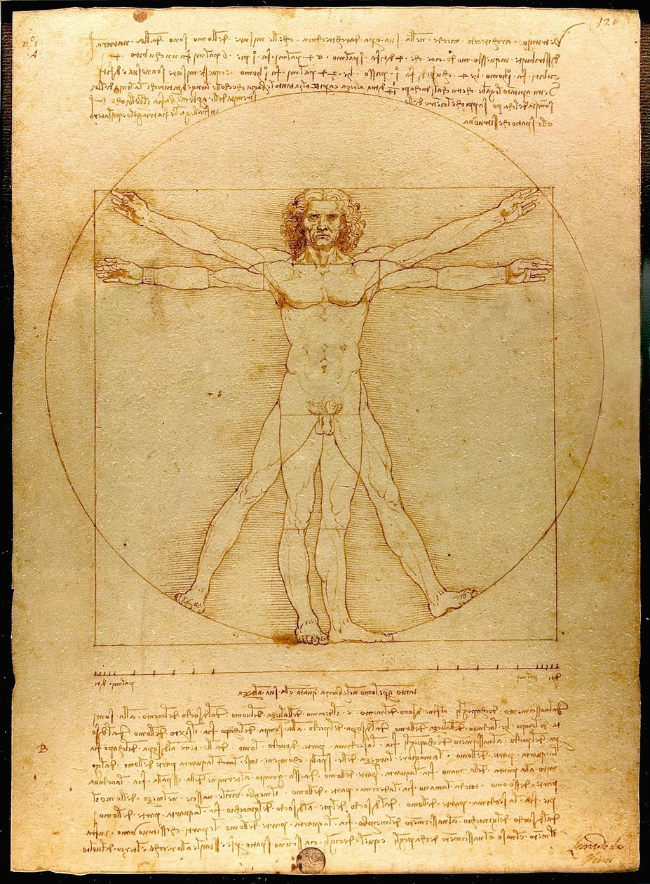 Vitruvian Luc Viatour tekijältä Leonardo da Vinci
