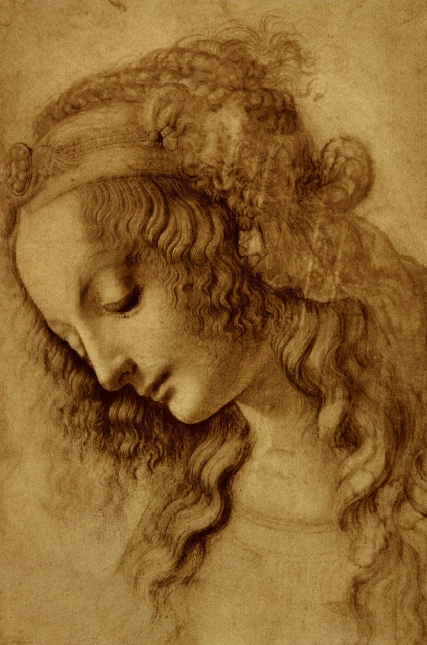 Nainen profiilissa tekijältä Leonardo da Vinci