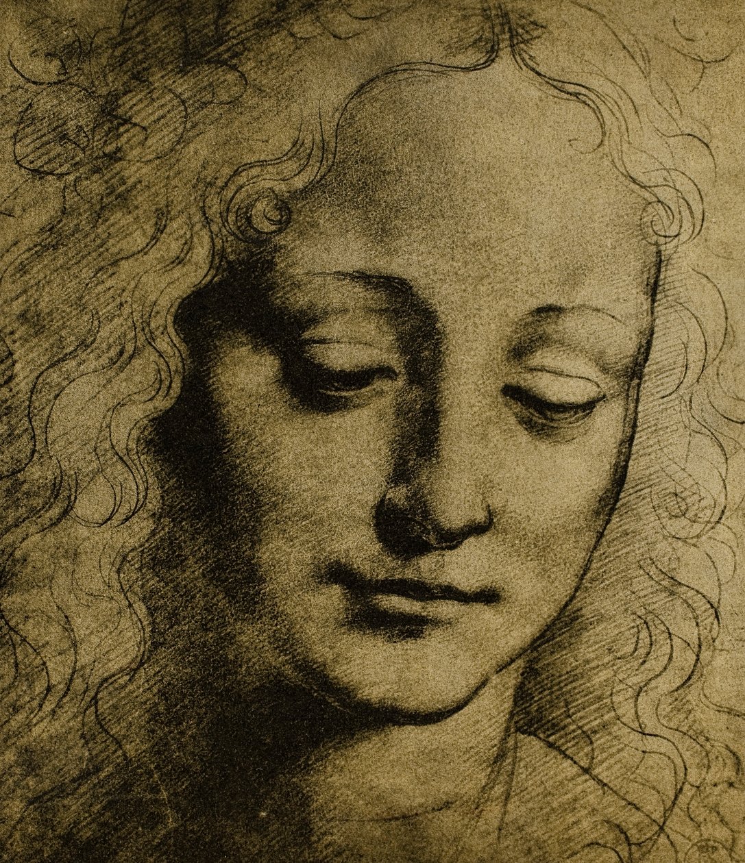 Nuorten pää; Leonardo da Vincin piirustus. Piirustus- ja grafiikkakaappi, Uffizi-galleria, Firenze tekijältä Leonardo da Vinci