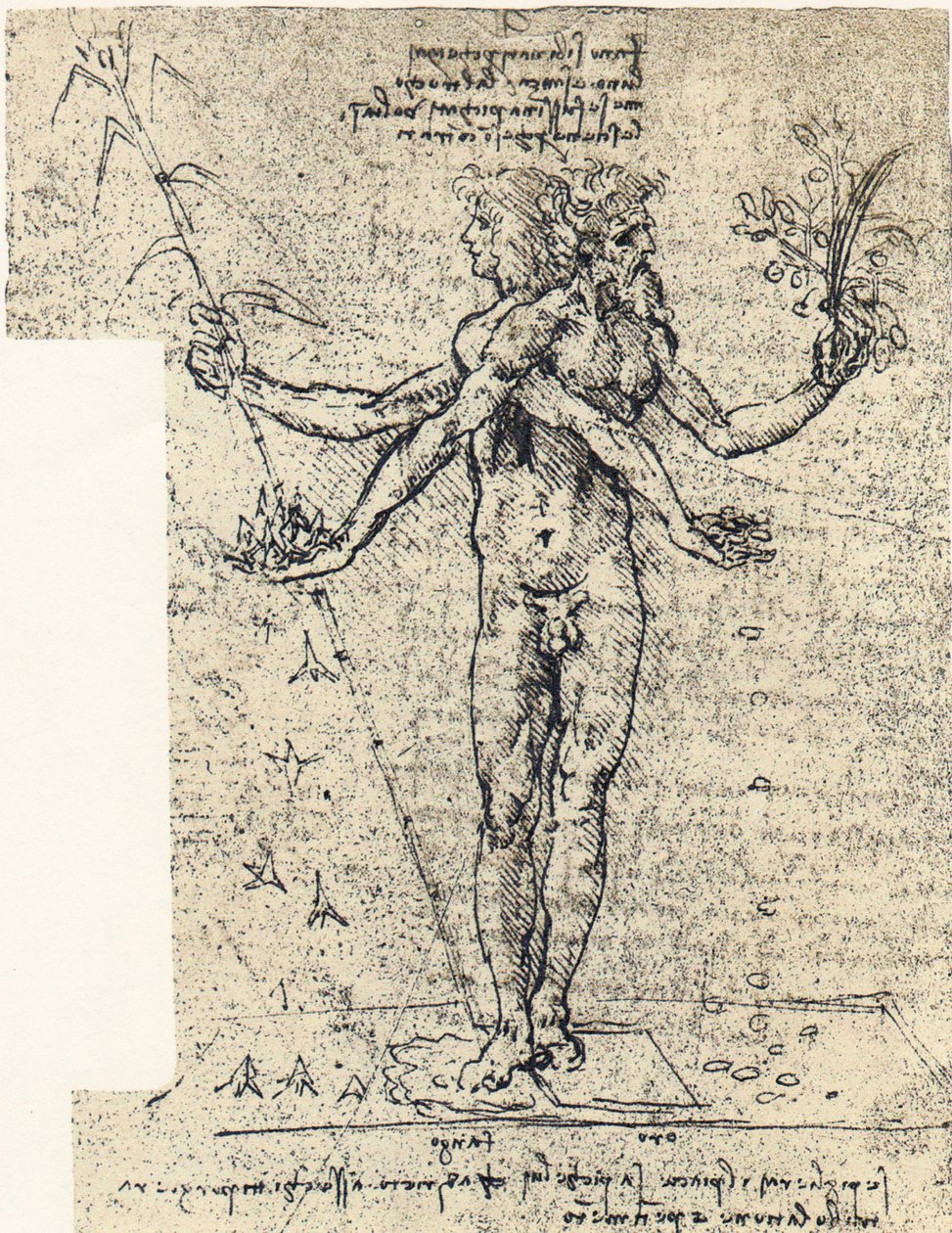 tuntematon piirustus androgyn -korpusesta, jossa on kaksi päätä tekijältä Leonardo da Vinci