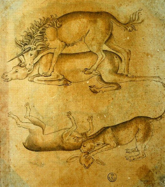 Eläimet (kynä, muste ja pesu paperille) tekijältä Leonardo da Vinci