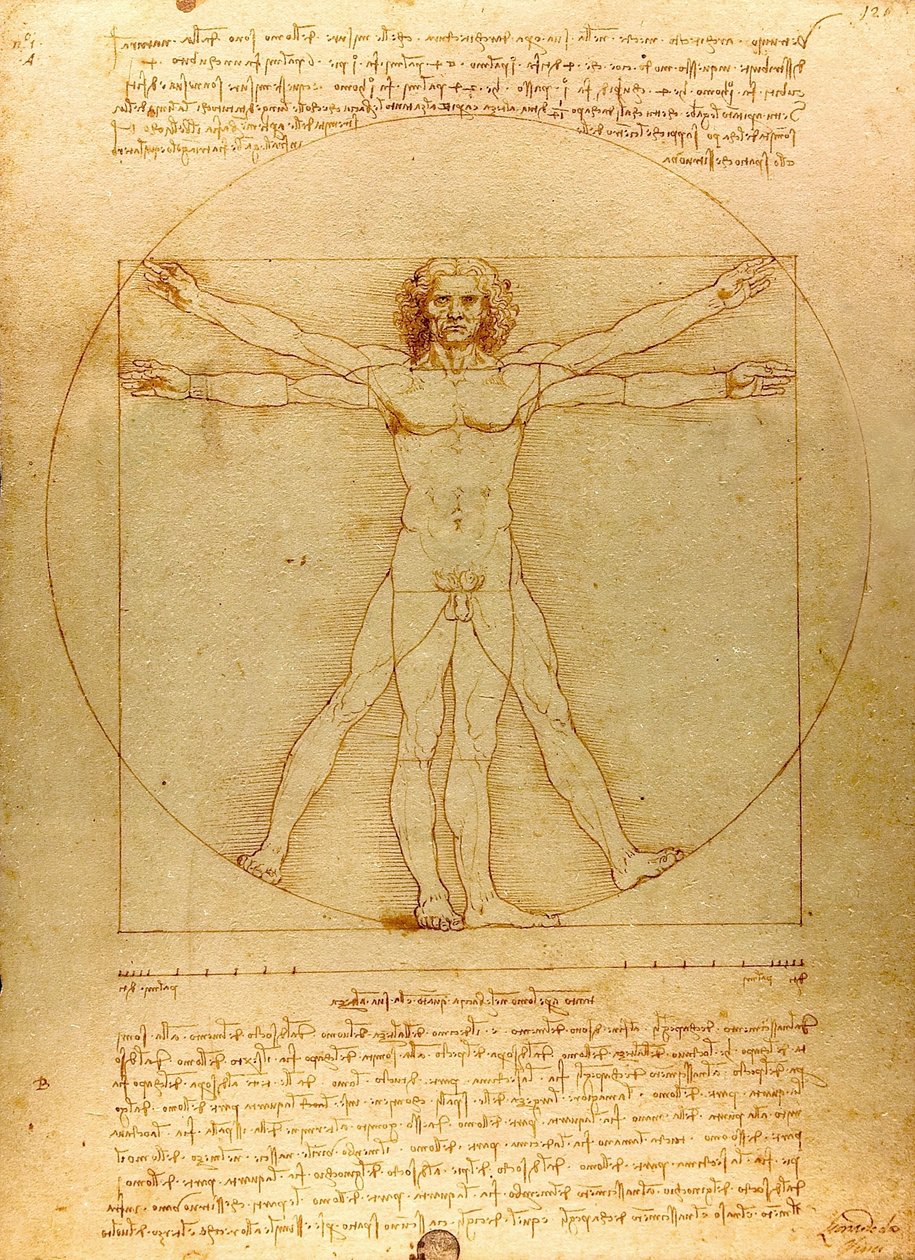 Da Vinci Vitruve Luc Viatour (rajattu) tekijältä Leonardo da Vinci