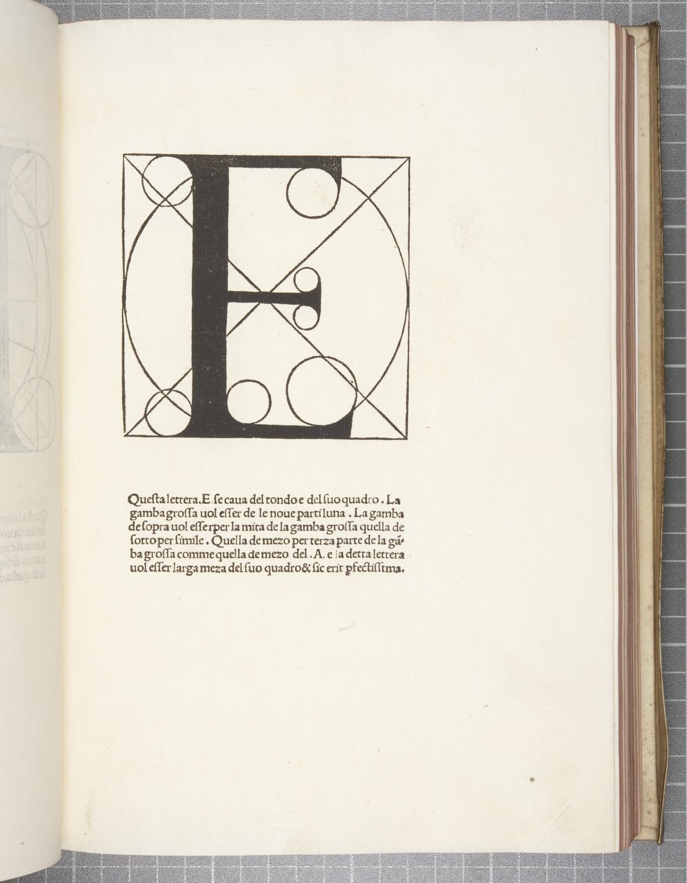 Divine Proportion, kirjoittanut Luca Pacioli tekijältä Leonardo da Vinci