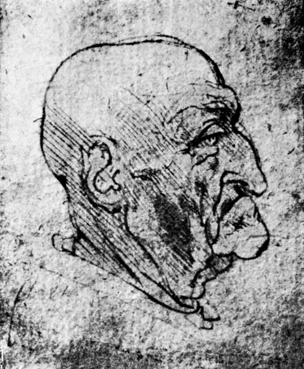 Vanhan miehen pää, 1913 tekijältä Leonardo da Vinci