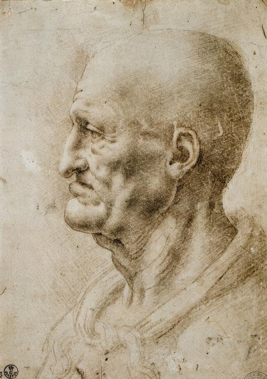 Kopfstudie eines alten Mannes tekijältä Leonardo da Vinci