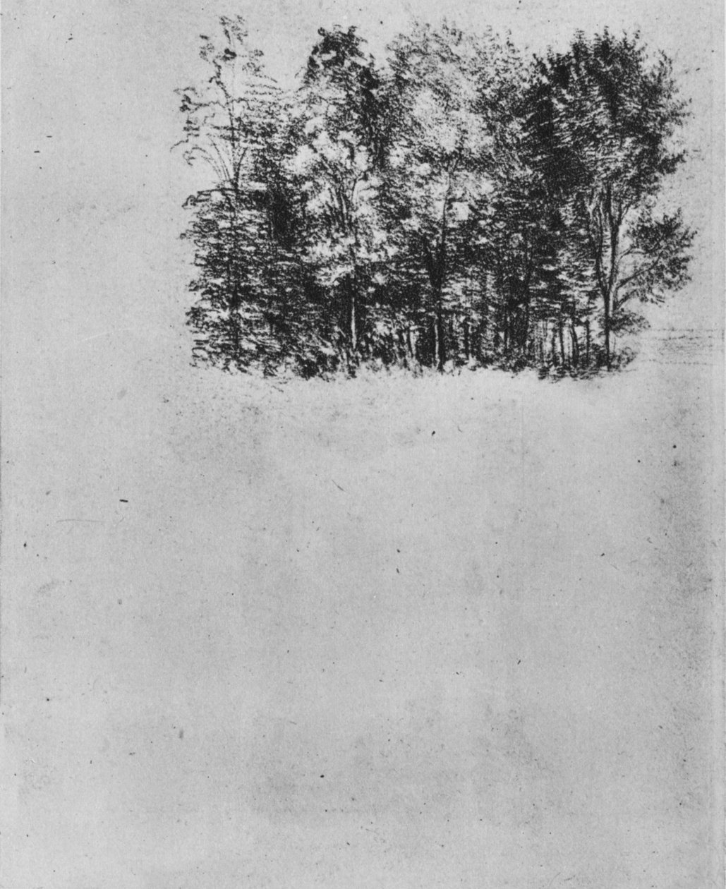 Study of a Coppice, c1480 1945 tekijältä Leonardo da Vinci