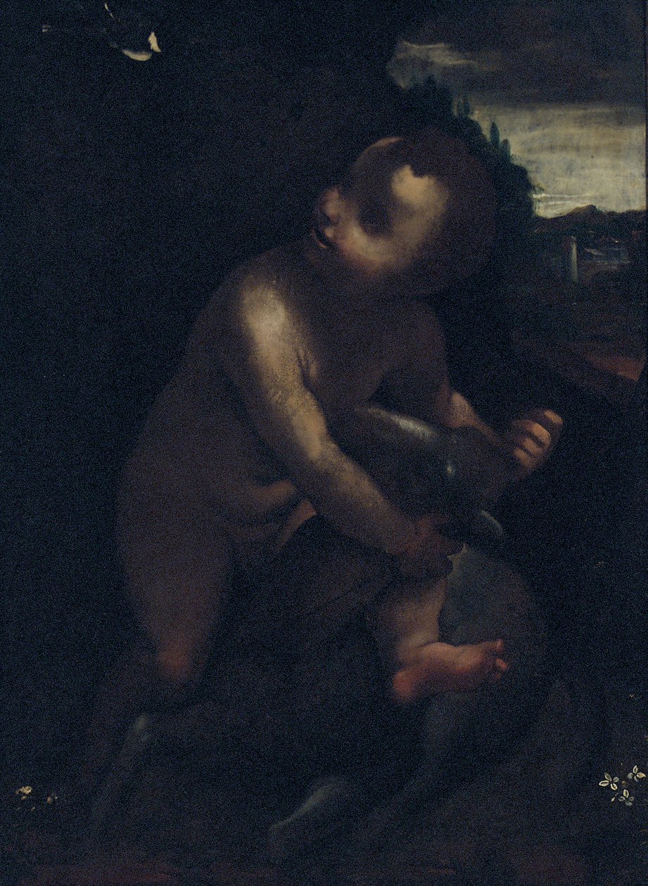 Vauva Pyhä Johannes Kastaja tekijältä Leonardo da Vinci