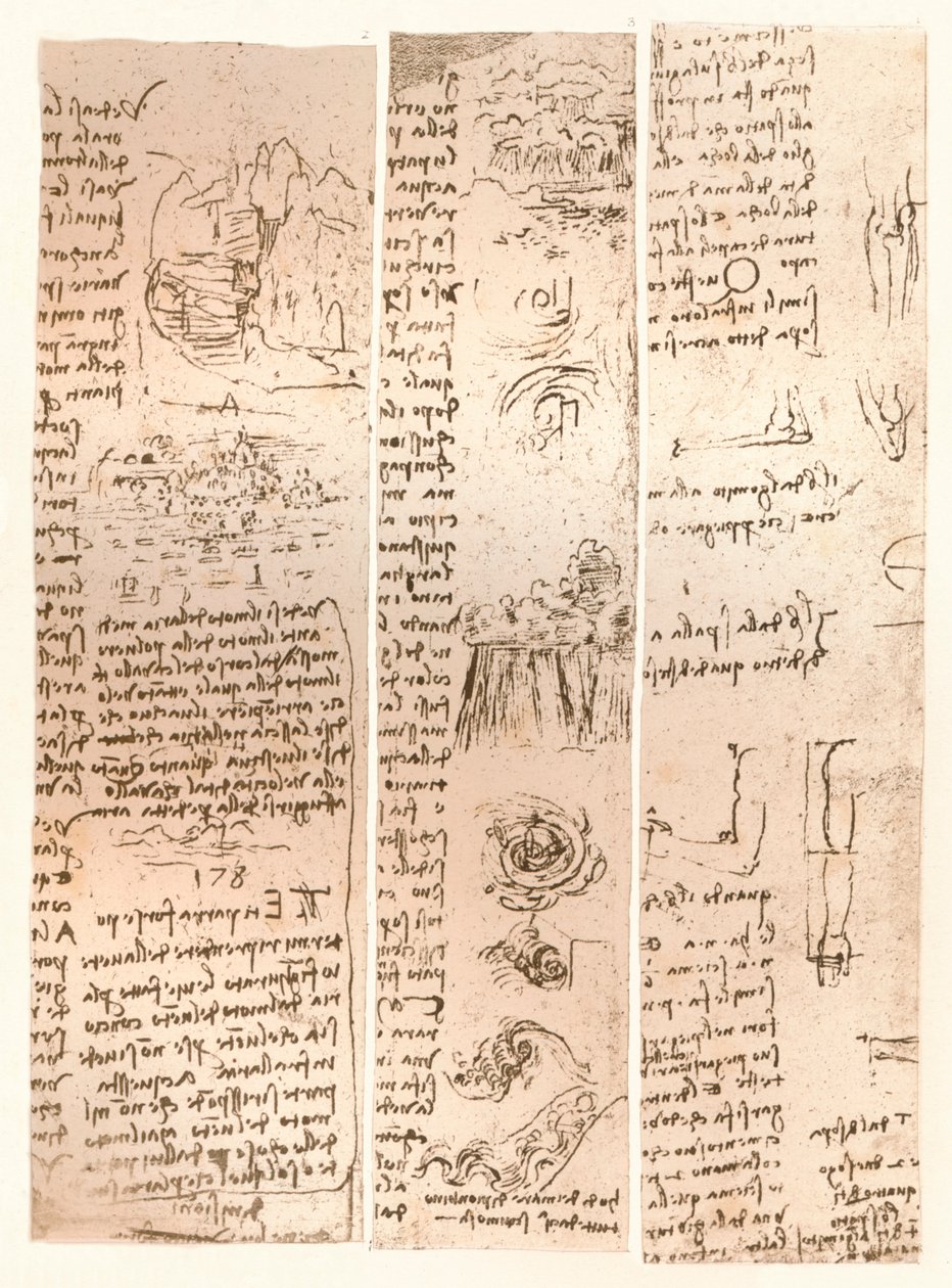 Kolme piirustusta, c1472-c1519 1883 tekijältä Leonardo da Vinci