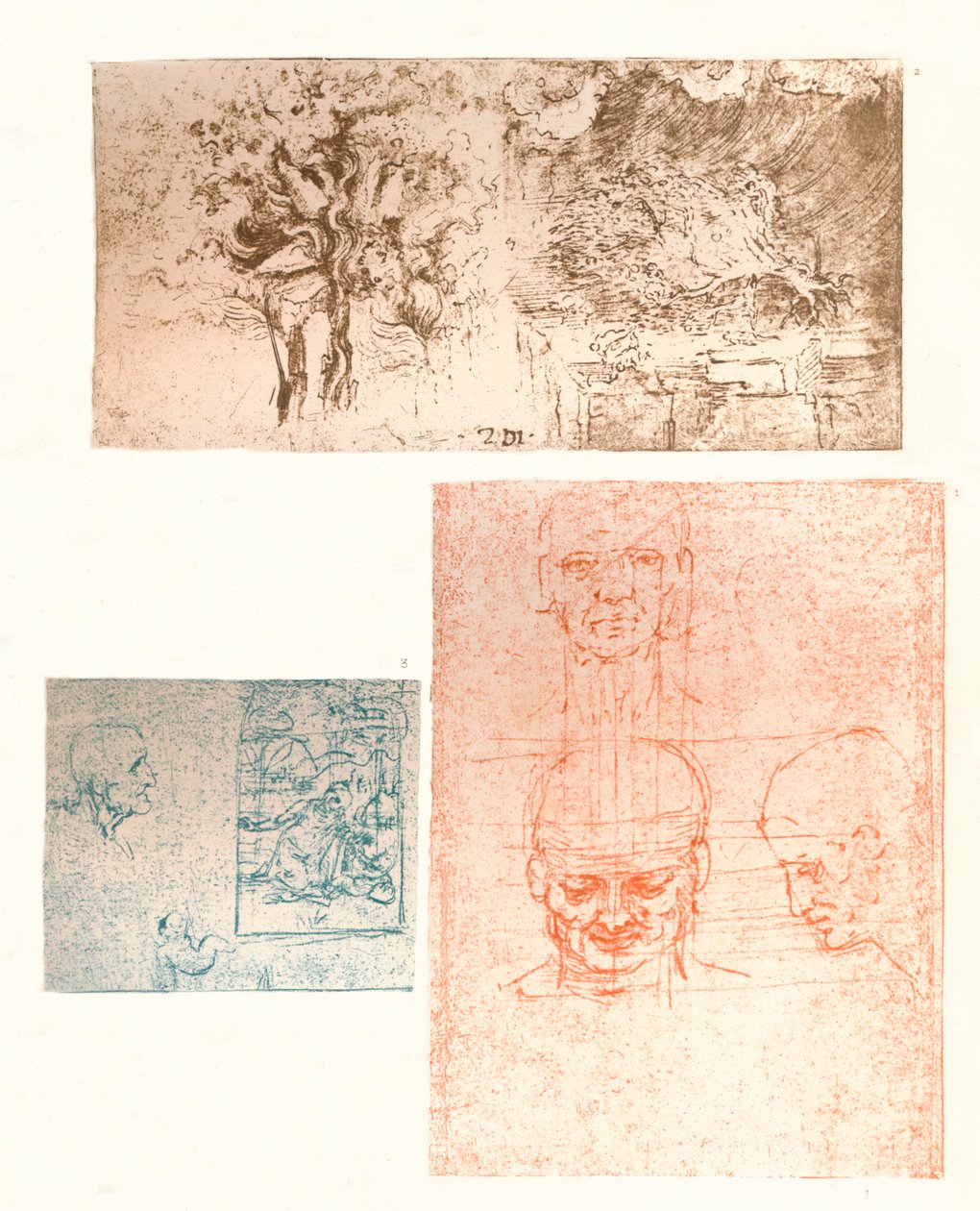 Kolme piirustusta, c1472-c1519 1883 tekijältä Leonardo da Vinci