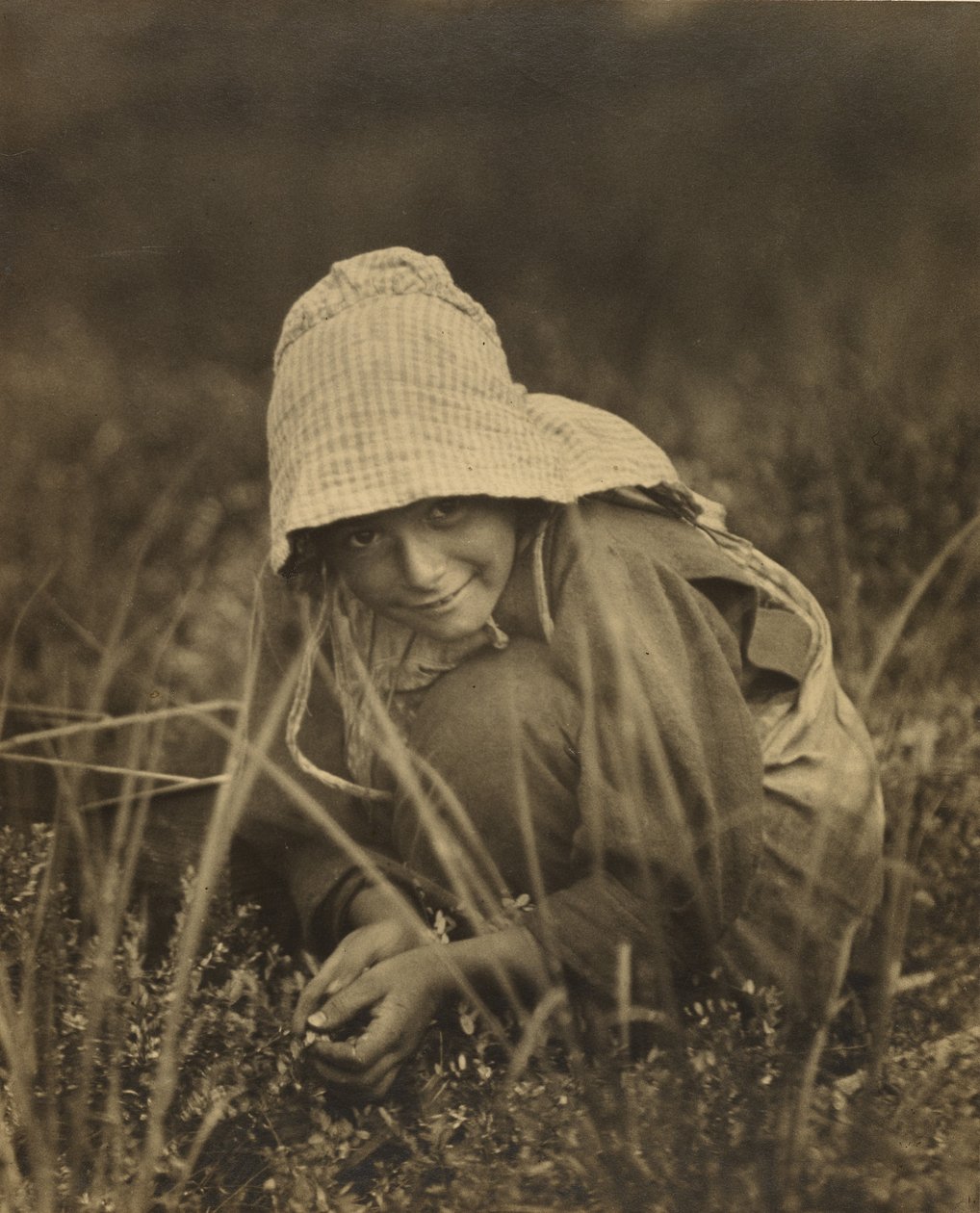 Cranberry Picker, New Jersey tekijältä Lewis W. Hine