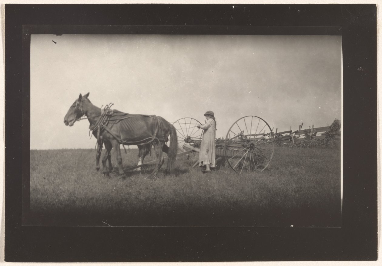 [Maatilakuvaus, Massachusetts] tekijältä Lewis W. Hine