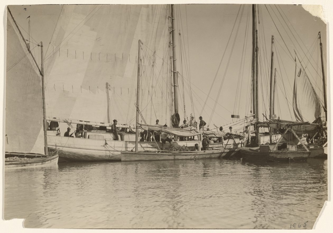[Osteriveneet, Mobile Bay, Alabama] tekijältä Lewis W. Hine