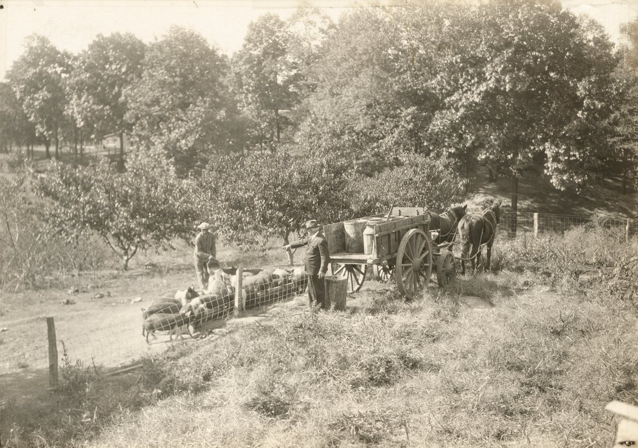 Nimetön, n. 1935. tekijältä Lewis Wickes Hine