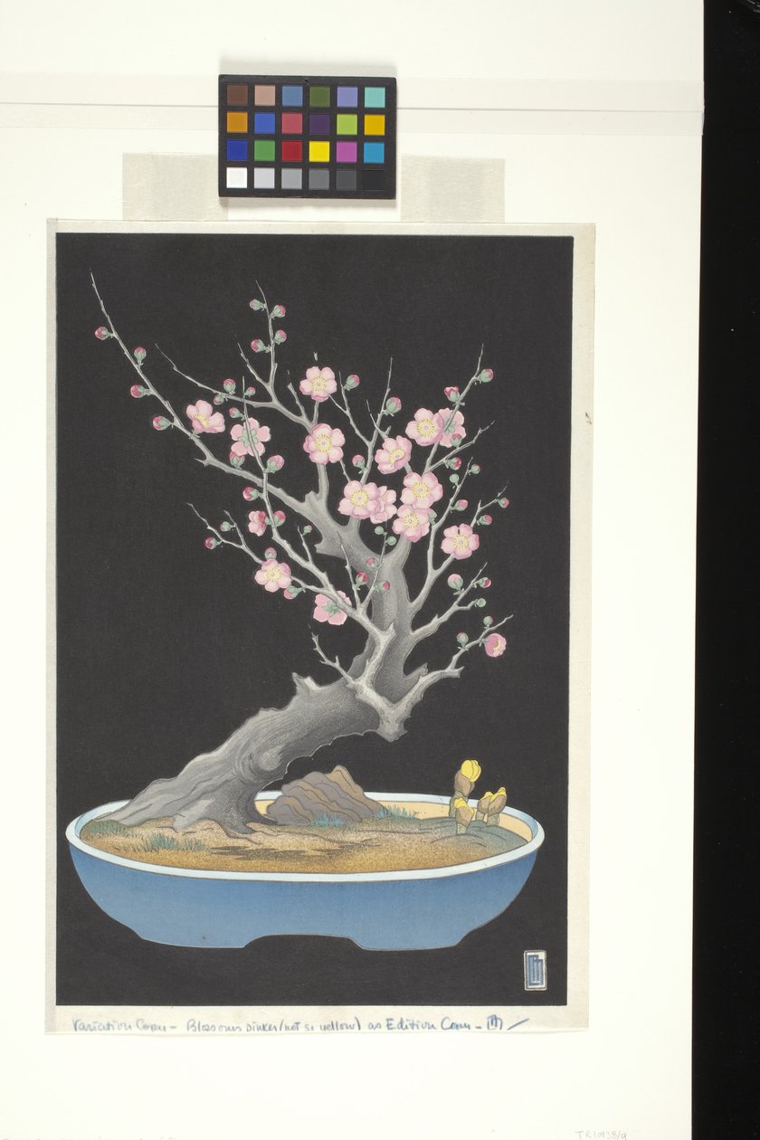 Japanilainen kääpiöluumu (värillinen puupainatus) tekijältä Lilian May Miller