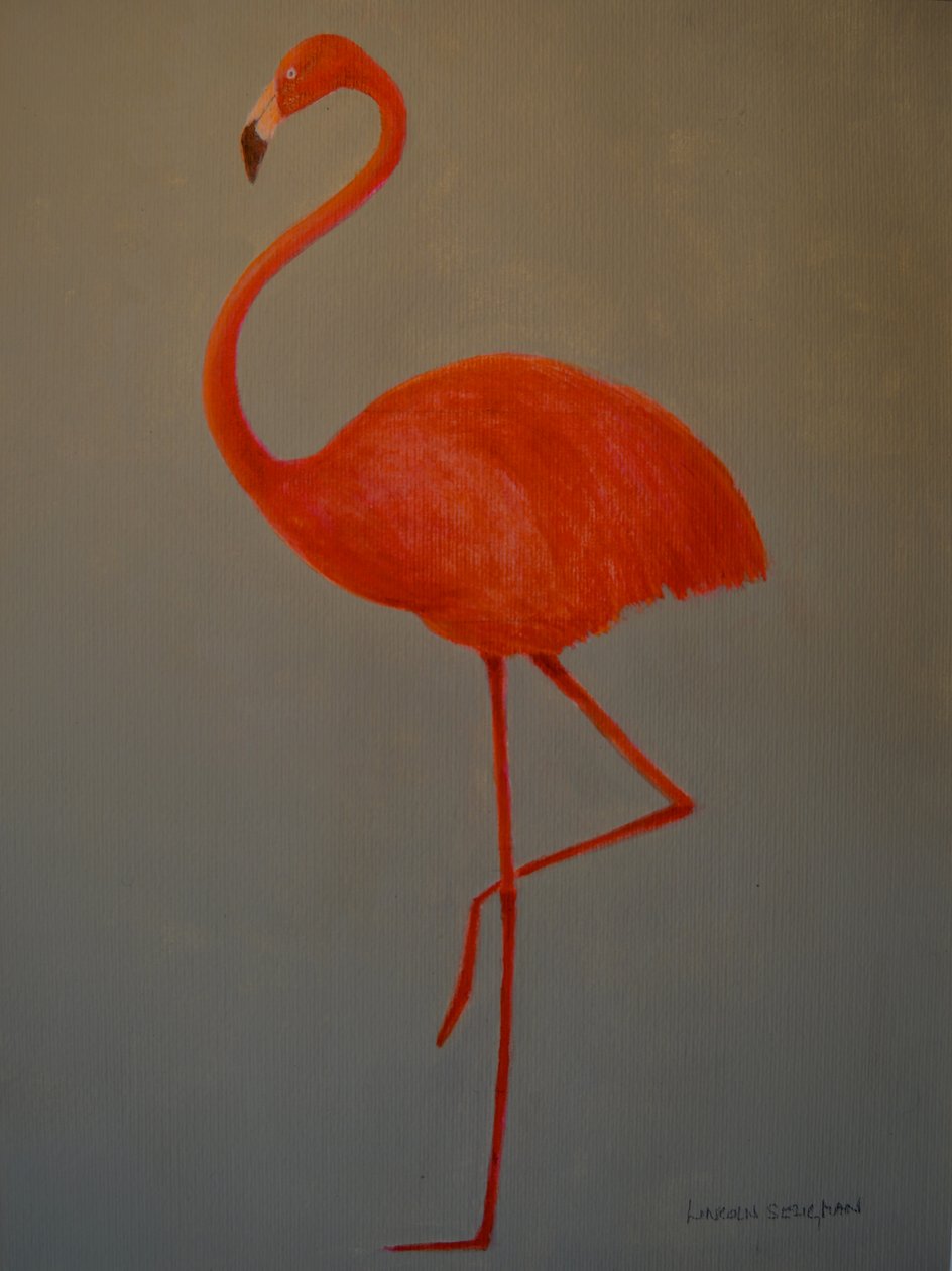 Flamingo tekijältä Lincoln Seligman