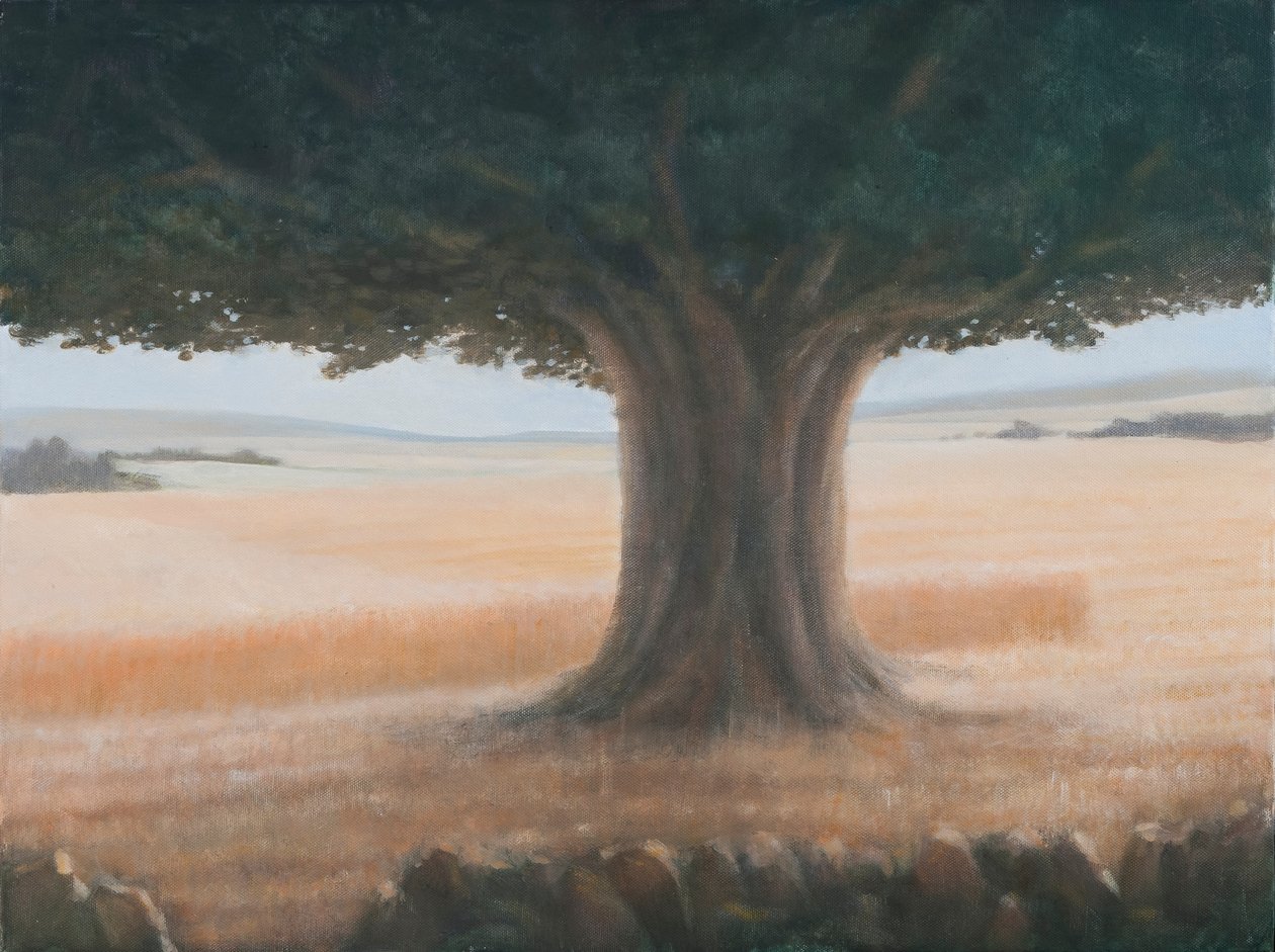 Tree, Holwell, 2012 (akryyli kankaalle) tekijältä Lincoln Seligman