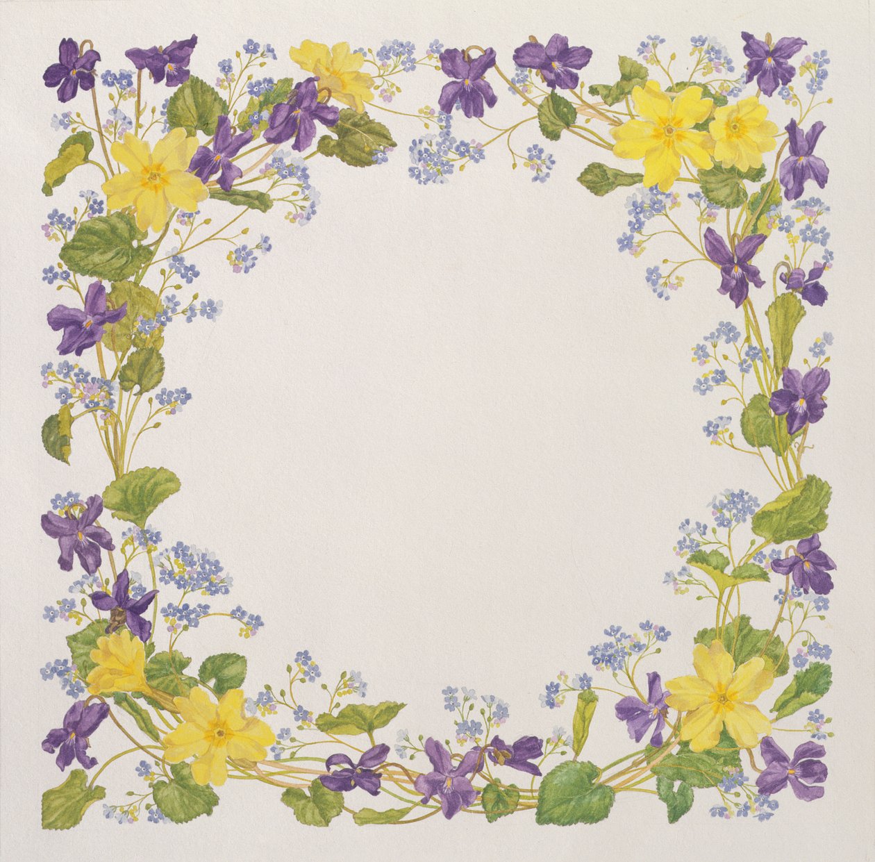 Primrose ja Violet Square tekijältä Linda Benton