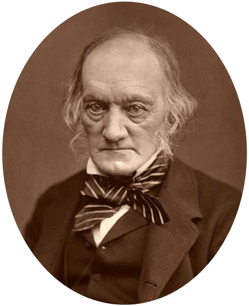 Richard Owen, 1878. tekijältä Lock and Whitfield
