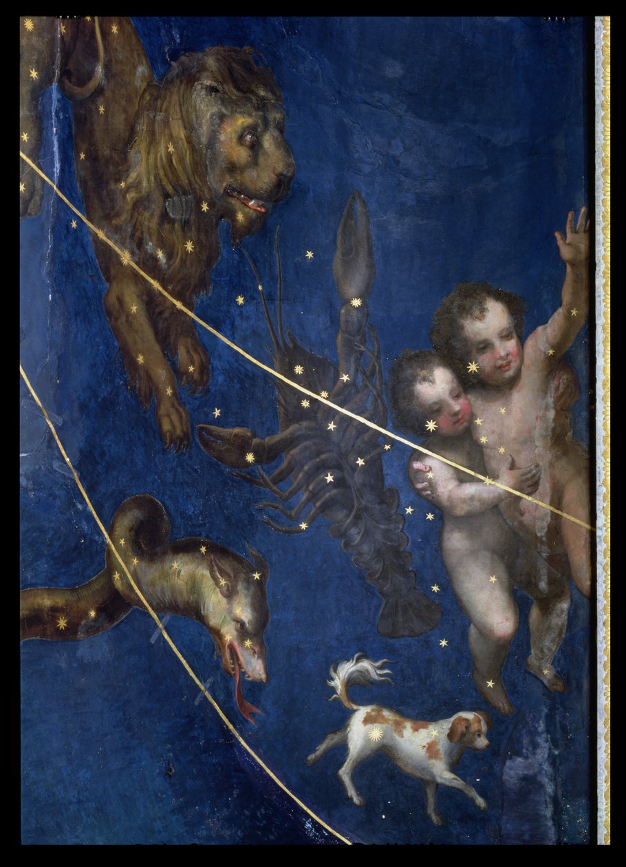 Eläinradan merkit, yksityiskohta Sala dello Zodiacon katosta, 1579 (yksityiskohta) tekijältä Lorenzo Costa