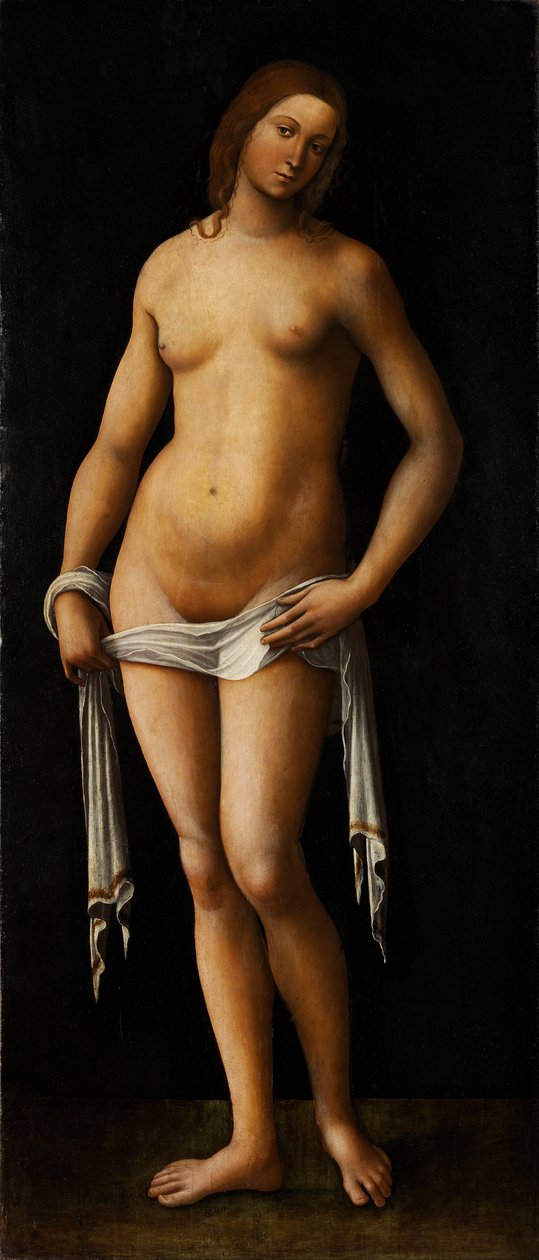 Venus tekijältä Lorenzo Costa