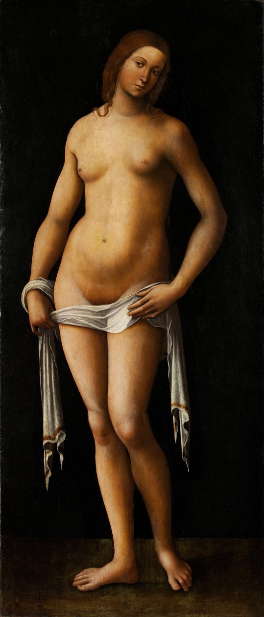 Venus tekijältä Lorenzo Costa