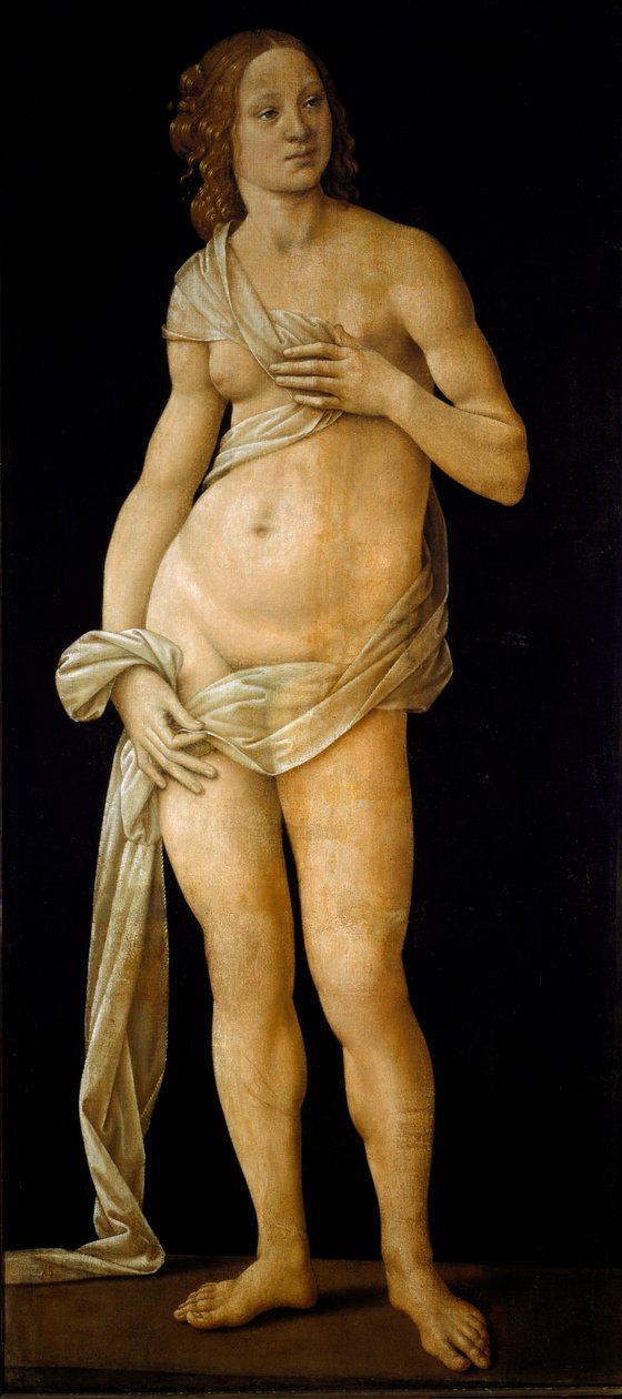 Venus (tempera puulla, n. 1490) tekijältä Lorenzo di Credi