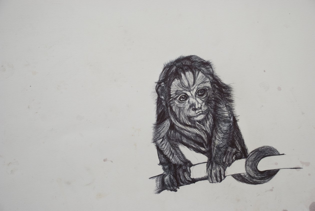 Monkey Business, 2016, (bico biro paperilla) tekijältä Lou Gibbs