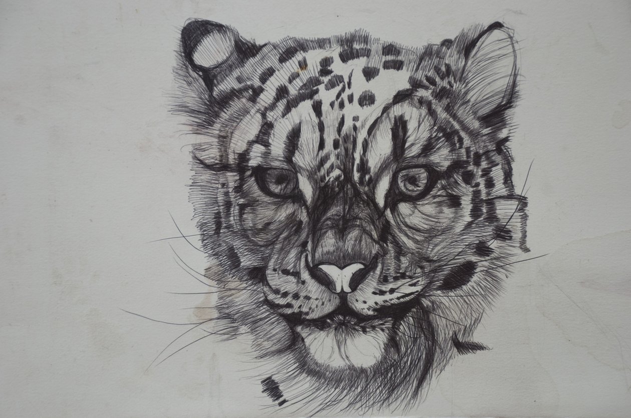 Snow Leopard, 2016,(bico paperilla) tekijältä Lou Gibbs