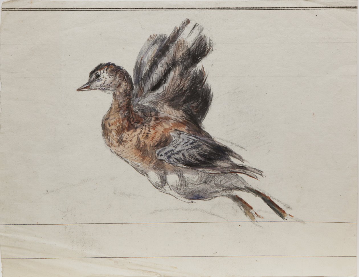 Dessin tekijältä Louis Marie Faudacq