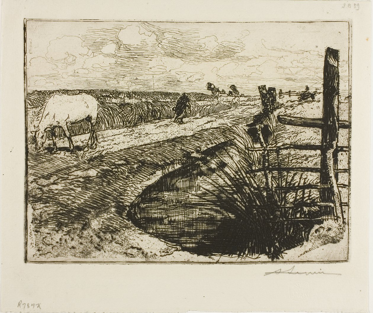 Tie Marais