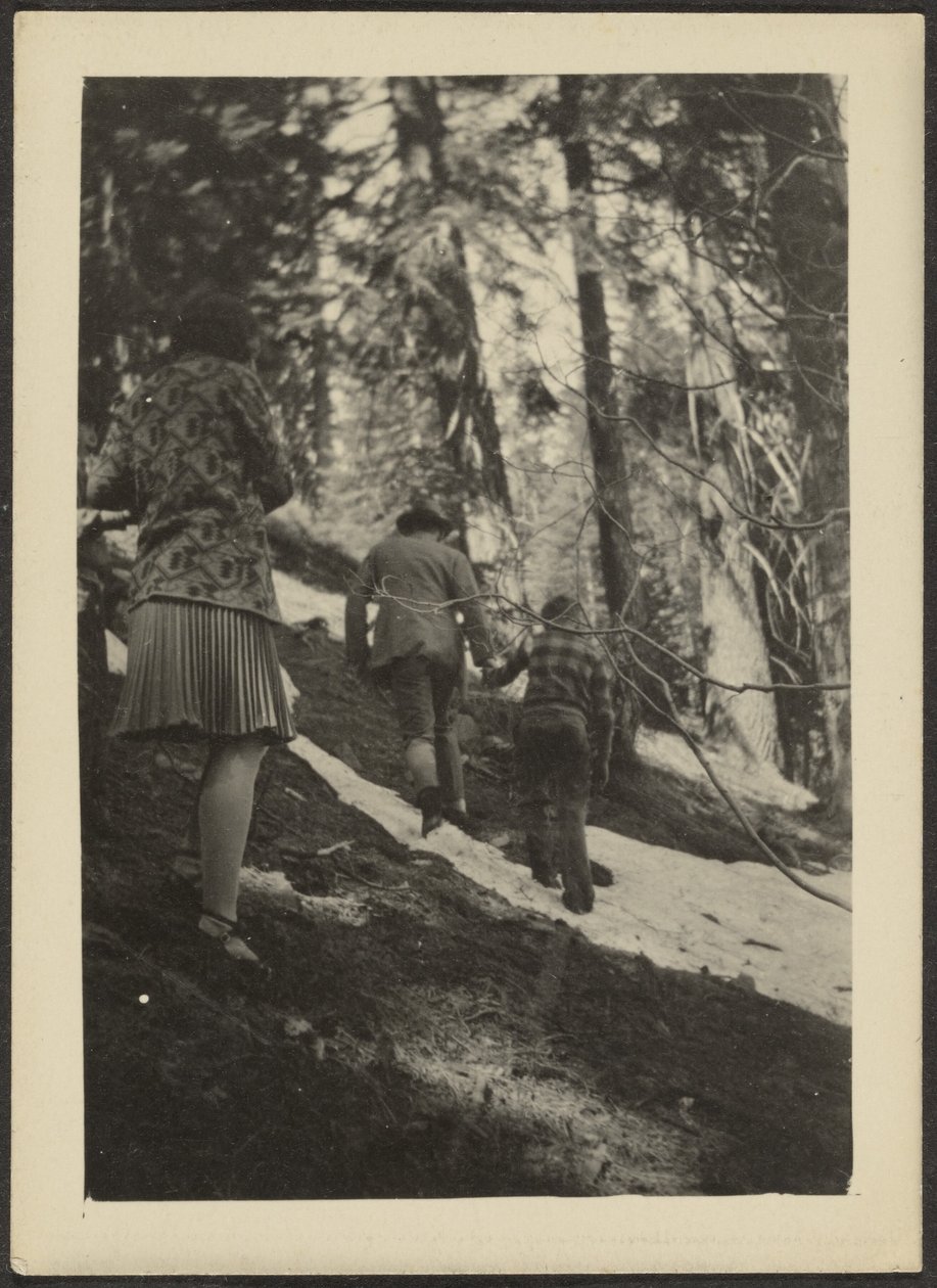 [Figures in the Woods] tekijältä Louis Fleckenstein