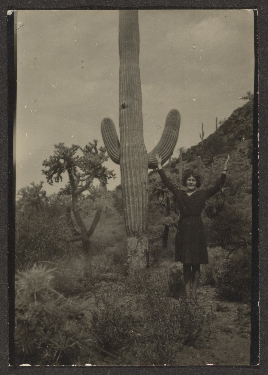 [Florence ja Cactus] tekijältä Louis Fleckenstein
