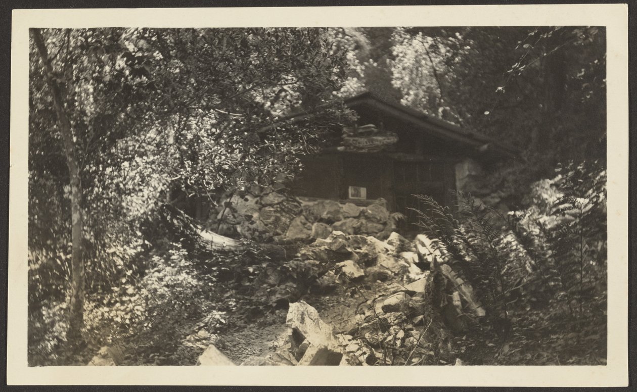 [Forest Lodge] tekijältä Louis Fleckenstein